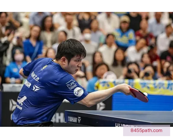 年薪一百二十万欧樊振东为德甲吸金多少续约条件更诱人真相揭晓全貌