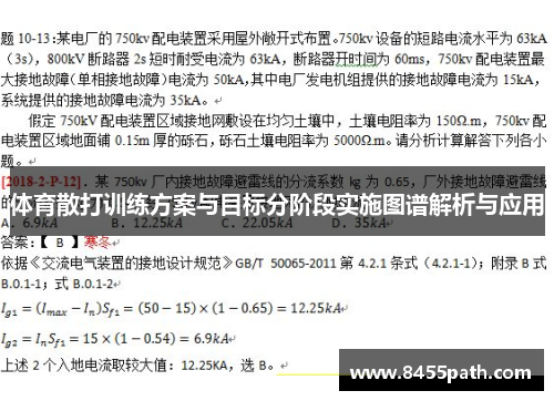 体育散打训练方案与目标分阶段实施图谱解析与应用