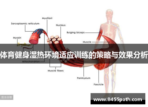 体育健身湿热环境适应训练的策略与效果分析