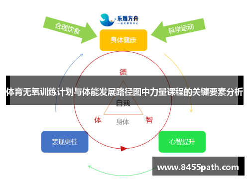 体育无氧训练计划与体能发展路径图中力量课程的关键要素分析