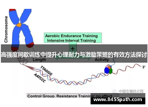 高强度间歇训练中提升心理耐力与激励策略的有效方法探讨